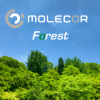 Molecor Forest