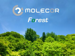 Molecor Forest