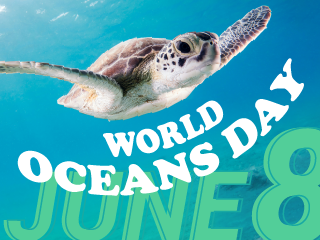 World Oceans Day 
